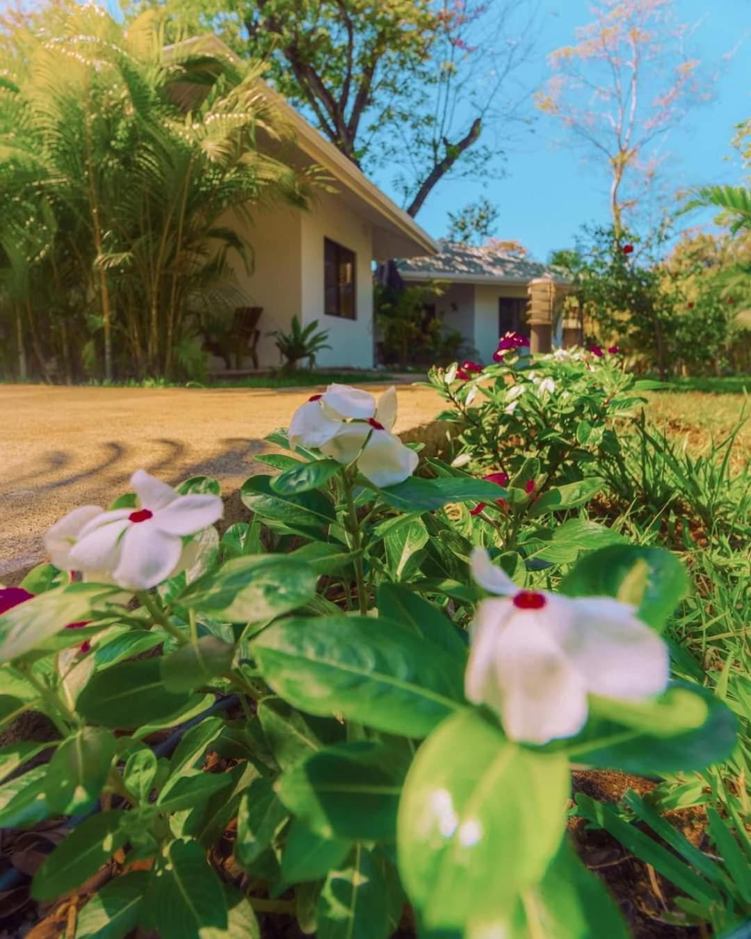 Buddha Retreat Hotel San Juanillo 외부 사진