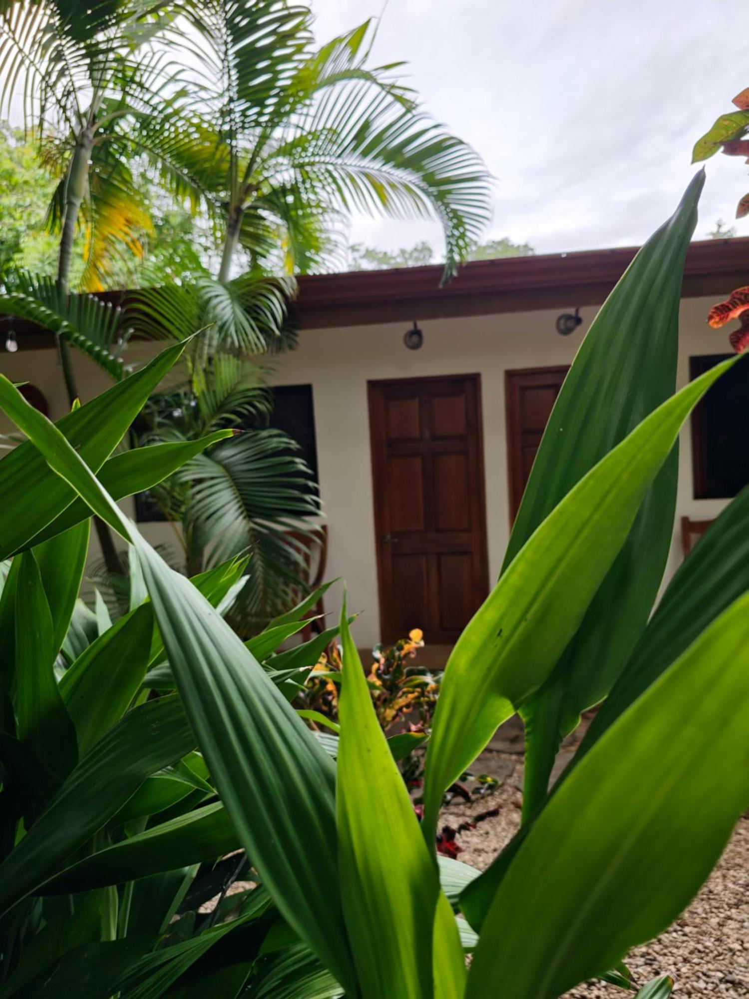 Buddha Retreat Hotel San Juanillo 외부 사진