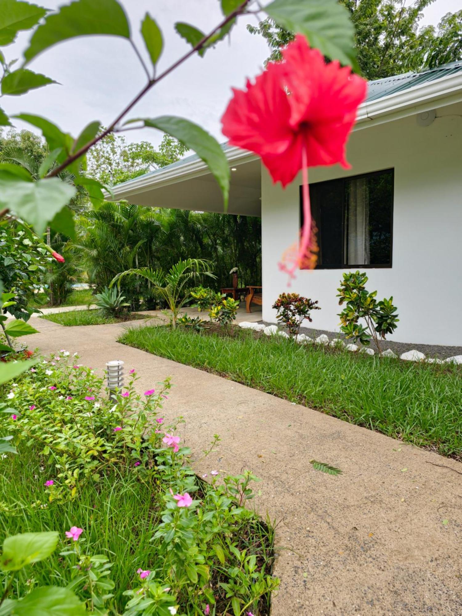 Buddha Retreat Hotel San Juanillo 외부 사진