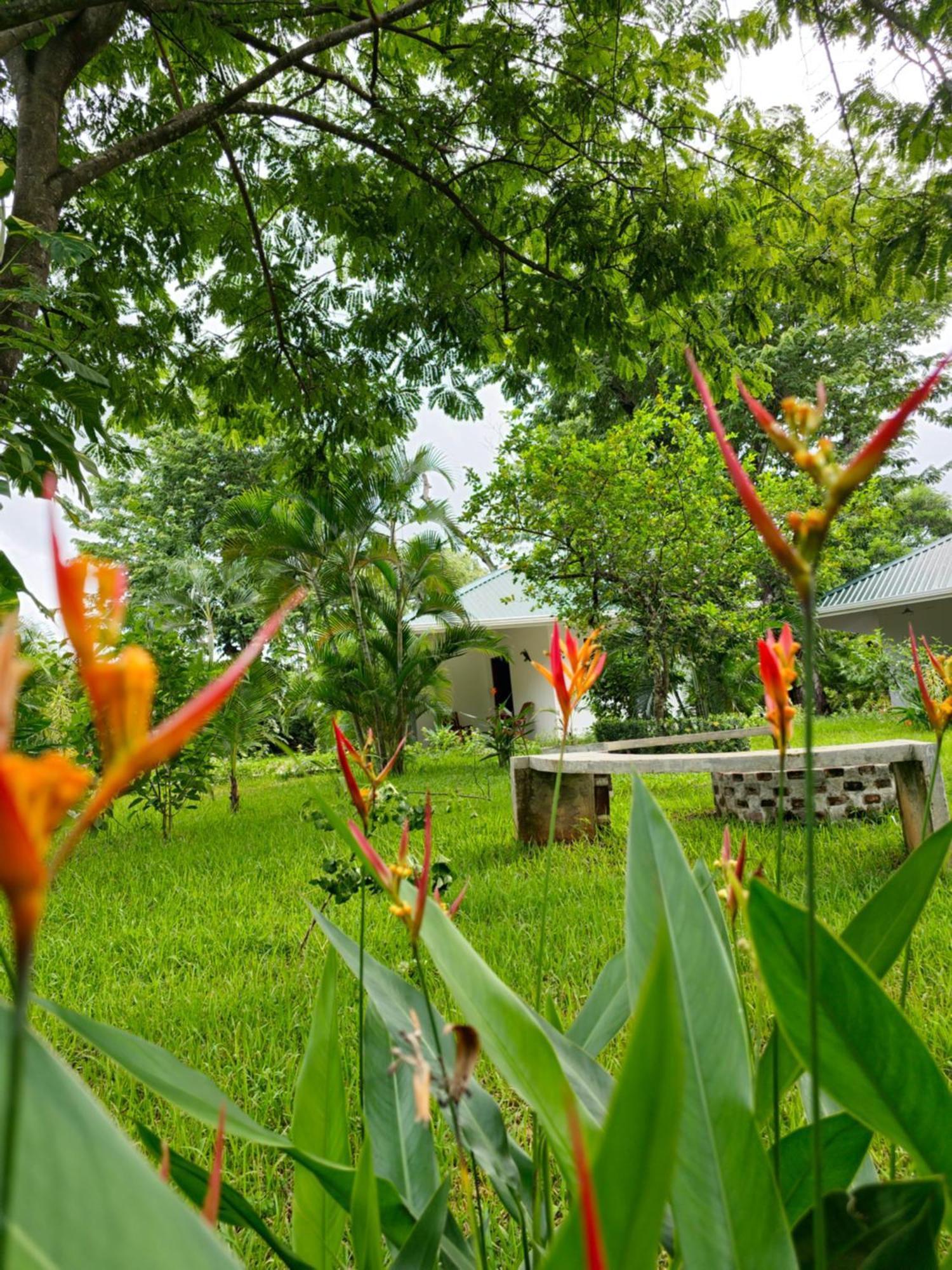 Buddha Retreat Hotel San Juanillo 외부 사진