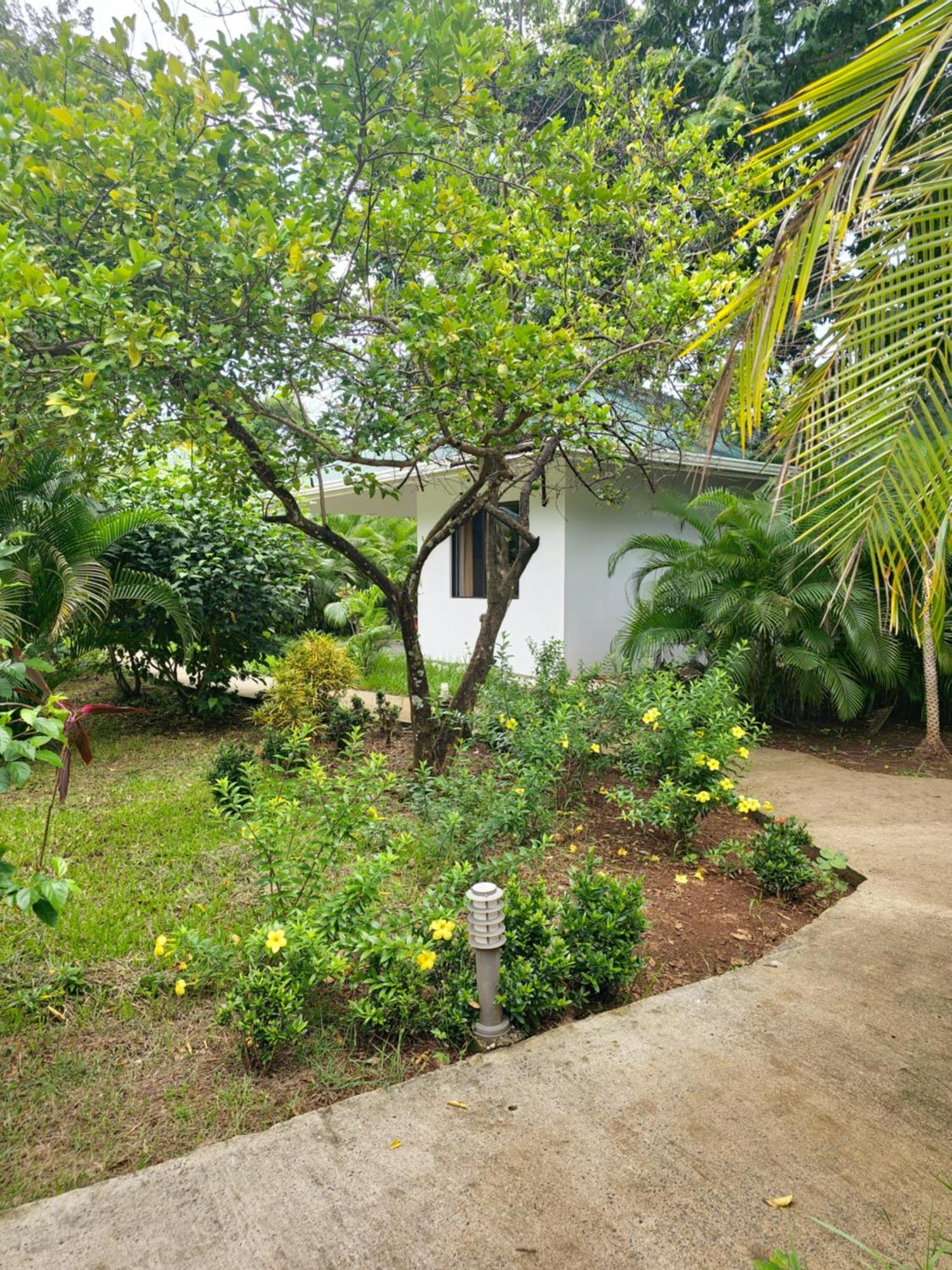 Buddha Retreat Hotel San Juanillo 외부 사진