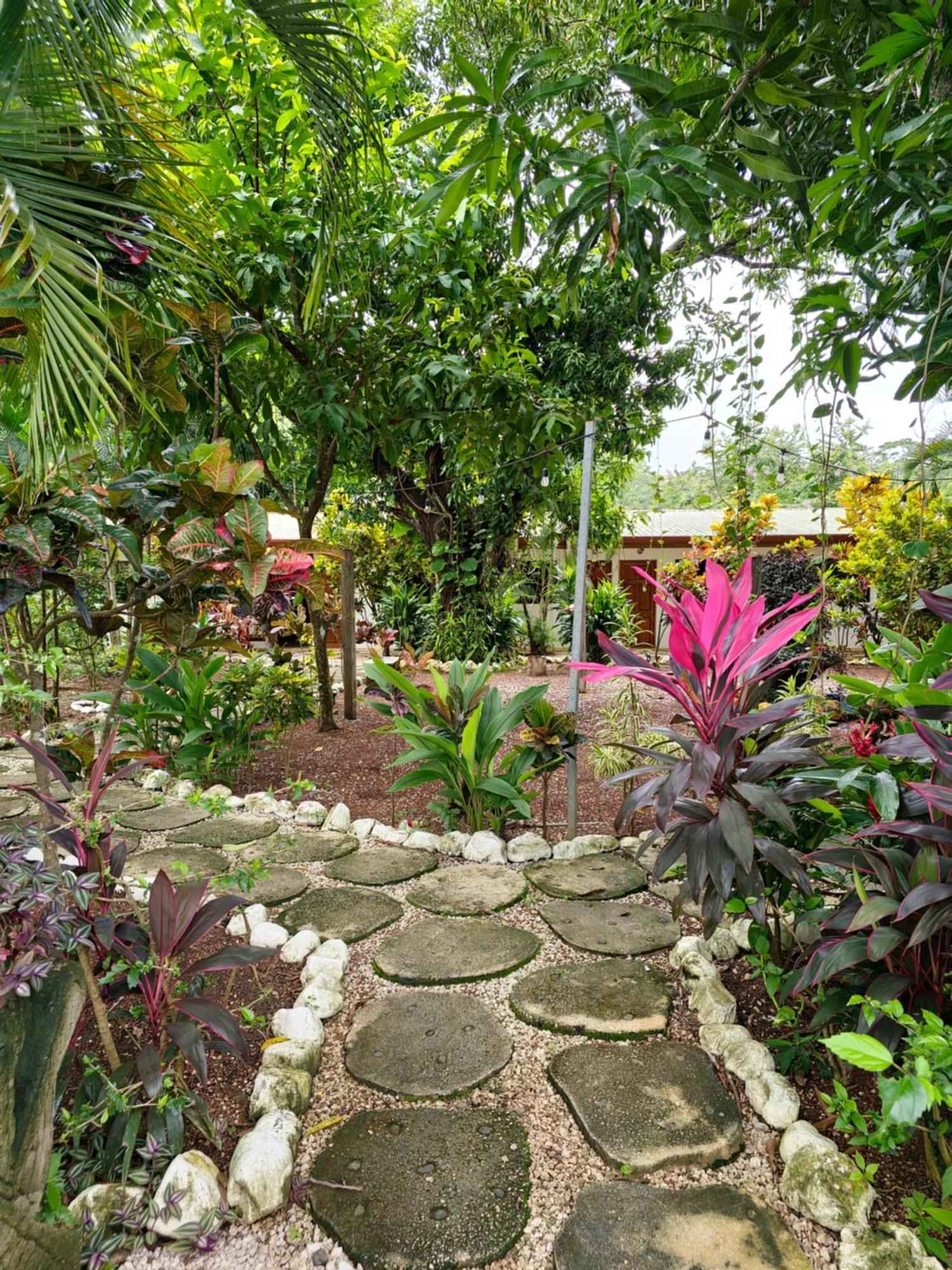 Buddha Retreat Hotel San Juanillo 외부 사진